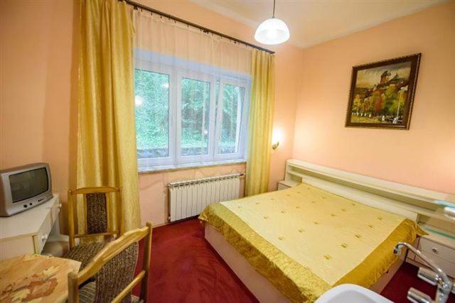 Domy Wczasowe Tryumfy Bed and Breakfast Krynica-Zdrój Esterno foto