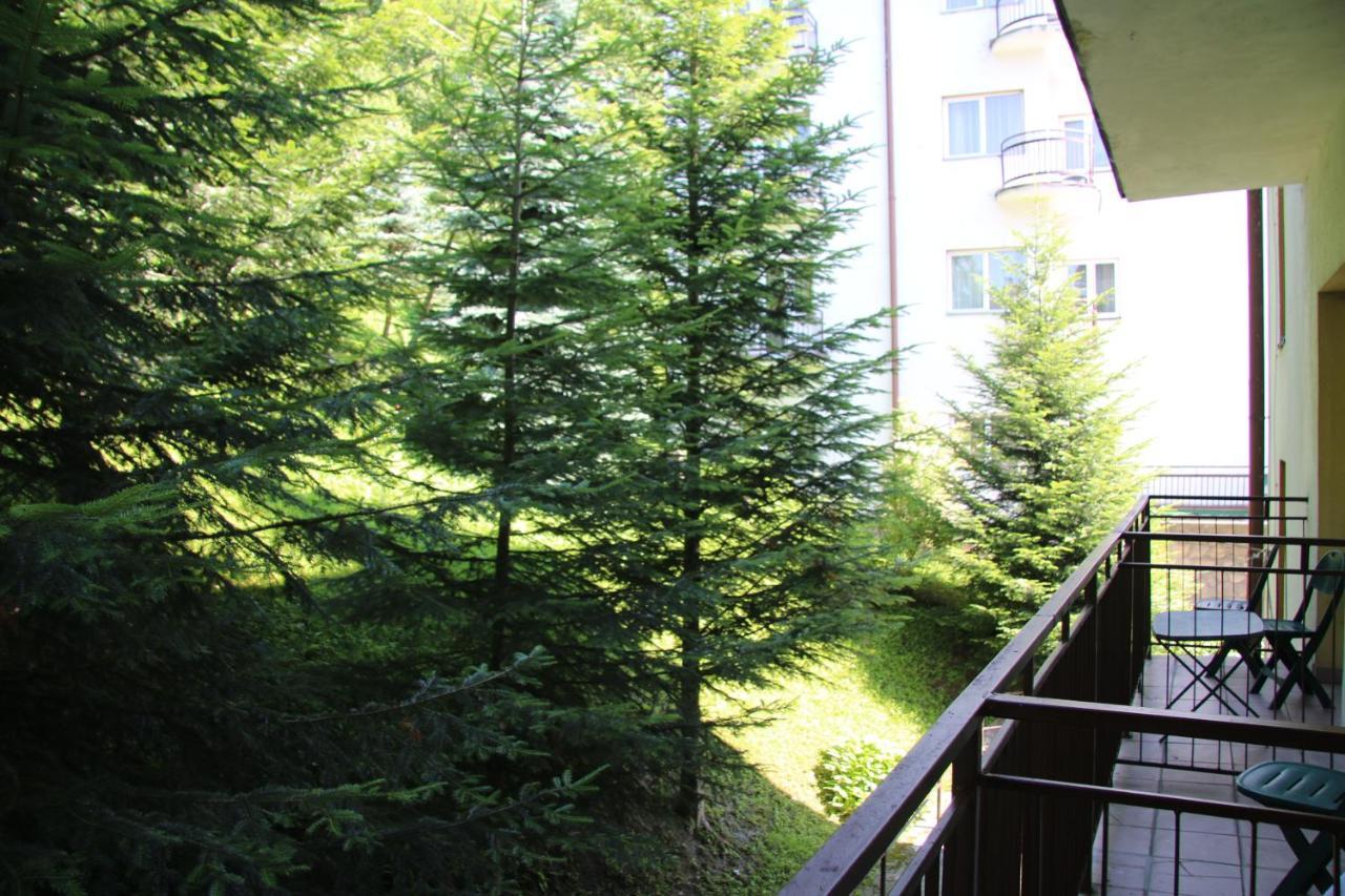 Domy Wczasowe Tryumfy Bed and Breakfast Krynica-Zdrój Esterno foto
