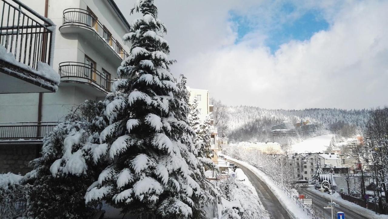 Domy Wczasowe Tryumfy Bed and Breakfast Krynica-Zdrój Esterno foto